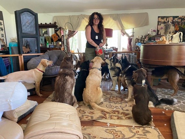 Laura Hope-Gill with her dog-sitting guests